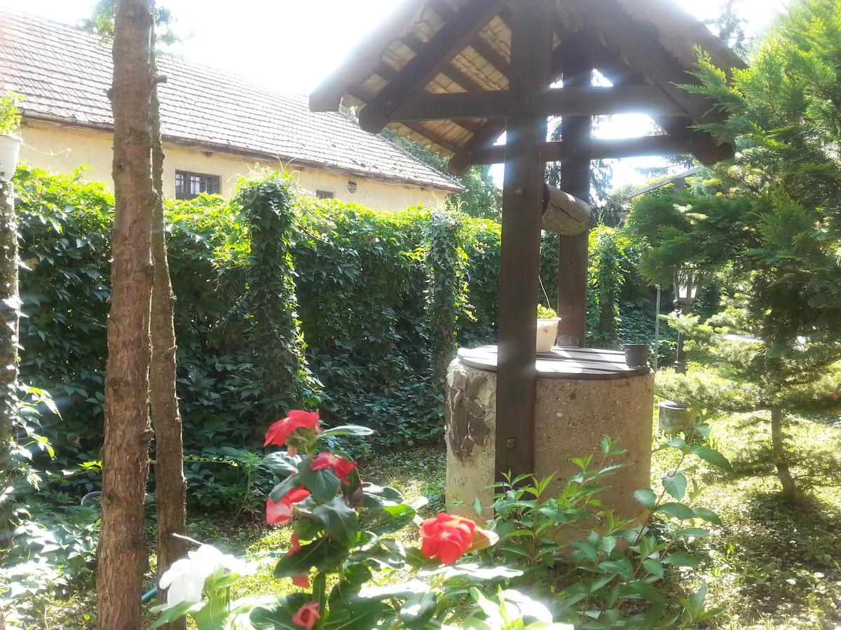 Felsőtold Felso Fogado Bed & Breakfast エクステリア 写真