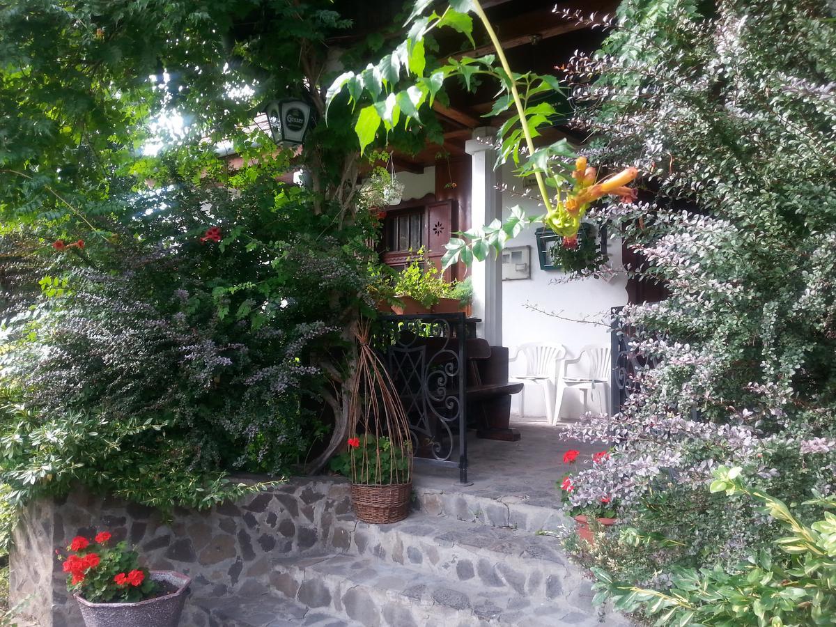 Felsőtold Felso Fogado Bed & Breakfast エクステリア 写真