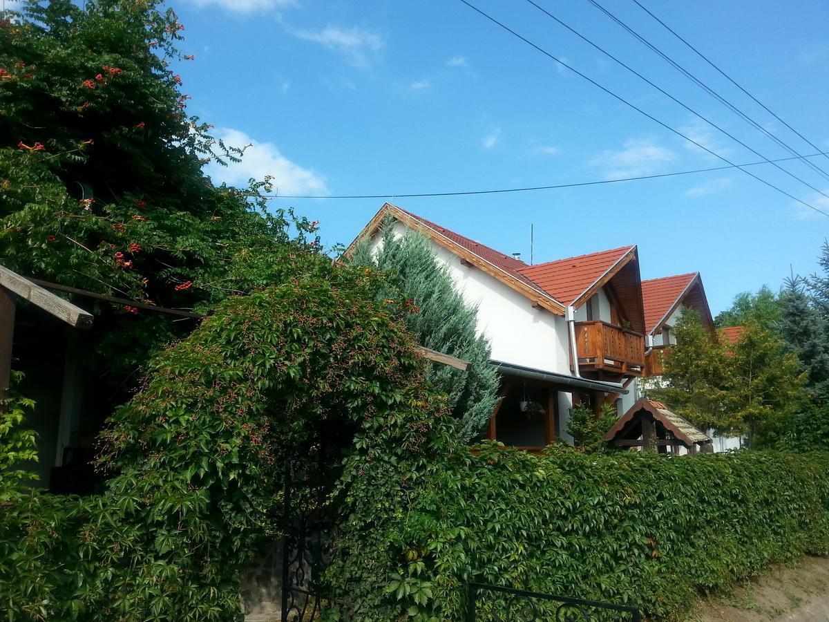 Felsőtold Felso Fogado Bed & Breakfast エクステリア 写真